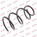 Coil Spring K-Flex RG3188 Kayaba