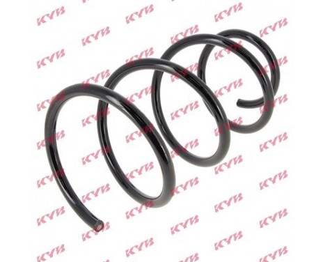 Coil Spring K-Flex RG3195 Kayaba