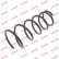 Coil Spring K-Flex RG3572 Kayaba