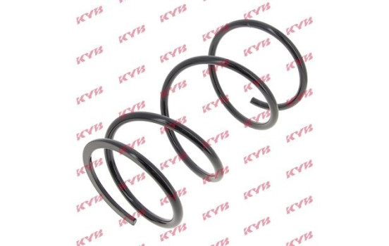 Coil Spring K-Flex RG3573 Kayaba