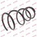 Coil Spring K-Flex RG3575 Kayaba