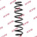 Coil Spring K-Flex RG5000 Kayaba