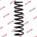 Coil Spring K-Flex RG5001 Kayaba