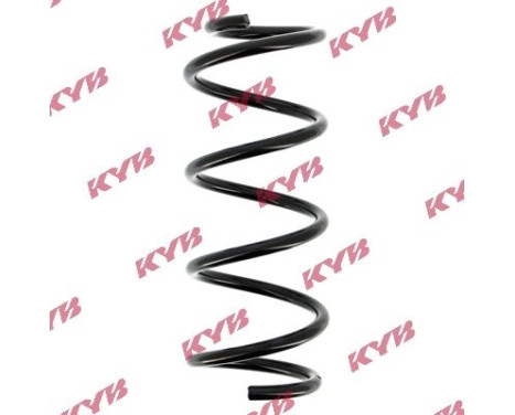 Coil Spring K-Flex RG5008 Kayaba
