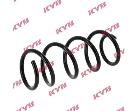 Coil Spring K-Flex RG5008 Kayaba, Image 2