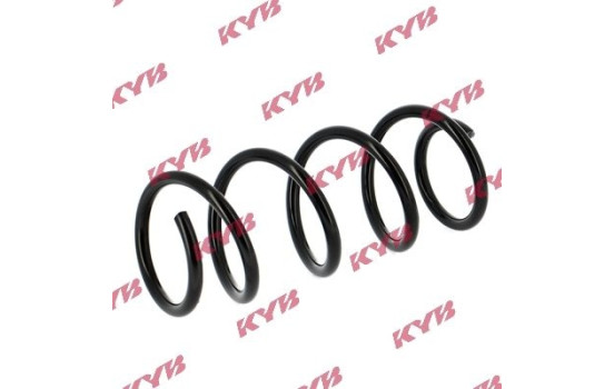 Coil Spring K-Flex RG5008 Kayaba, Image 2