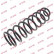 Coil Spring K-Flex RG5143 Kayaba