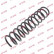 Coil Spring K-Flex RG5211 Kayaba