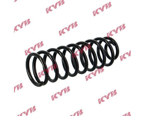 Coil Spring K-Flex RG5213 Kayaba, Image 2