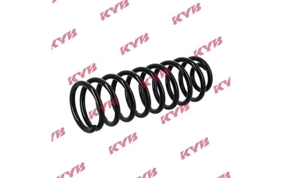 Coil Spring K-Flex RG5213 Kayaba, Image 2