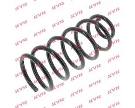 Coil Spring K-Flex RG5216 Kayaba