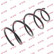 Coil Spring K-Flex RG5217 Kayaba