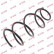 Coil Spring K-Flex RG5218 Kayaba