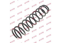 Coil Spring K-Flex RG5383 Kayaba