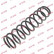 Coil Spring K-Flex RG5383 Kayaba