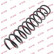 Coil Spring K-Flex RG5478 Kayaba
