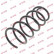 Coil Spring K-Flex RG6472 Kayaba