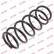 Coil Spring K-Flex RG6473 Kayaba
