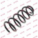 Coil Spring K-Flex RG6520 Kayaba