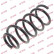 Coil Spring K-Flex RG6532 Kayaba