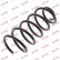 Coil Spring K-Flex RG6538 Kayaba