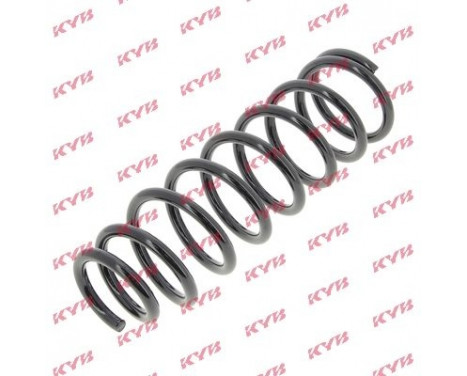 Coil Spring K-Flex RG6540 Kayaba