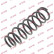Coil Spring K-Flex RG6540 Kayaba