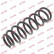 Coil Spring K-Flex RG6541 Kayaba