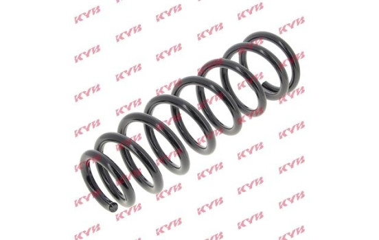 Coil Spring K-Flex RG6541 Kayaba