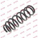 Coil Spring K-Flex RG6542 Kayaba