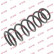 Coil Spring K-Flex RG6544 Kayaba