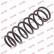 Coil Spring K-Flex RG6546 Kayaba