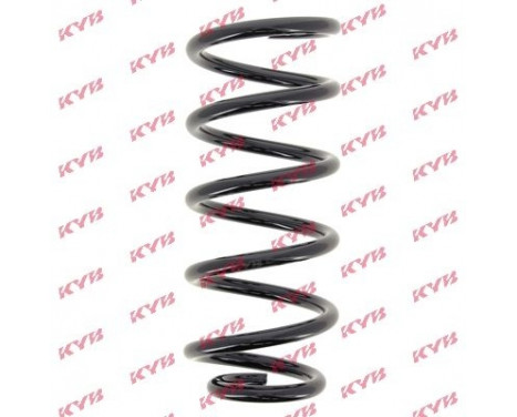 Coil Spring K-Flex RG6977 Kayaba, Image 2