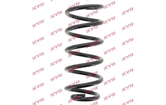 Coil Spring K-Flex RG6977 Kayaba, Image 2