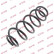 Coil Spring K-Flex RH1020 Kayaba
