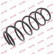 Coil Spring K-Flex RH1068 Kayaba