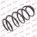 Coil Spring K-Flex RH1285 Kayaba