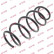 Coil Spring K-Flex RH1664 Kayaba