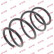 Coil Spring K-Flex RH2500 Kayaba