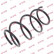 Coil Spring K-Flex RH2588 Kayaba