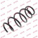 Coil Spring K-Flex RH2658 Kayaba