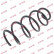 Coil Spring K-Flex RH2663 Kayaba