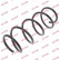 Coil Spring K-Flex RH2714 Kayaba