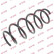 Coil Spring K-Flex RH2826 Kayaba