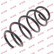 Coil Spring K-Flex RH2953 Kayaba