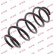 Coil Spring K-Flex RH2957 Kayaba