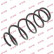 Coil Spring K-Flex RH3004 Kayaba