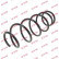 Coil Spring K-Flex RH3005 Kayaba