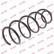 Coil Spring K-Flex RH3006 Kayaba