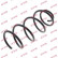 Coil Spring K-Flex RH3260 Kayaba